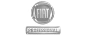 Logo_Fiat_Professional